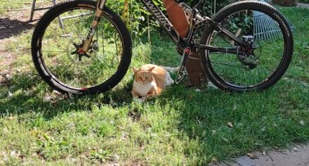 Das ist Felix und ist 11 Jahre alt. Er hat sein