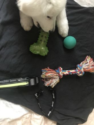 Ich gebe leider meinen kleinen in besseren Händen.