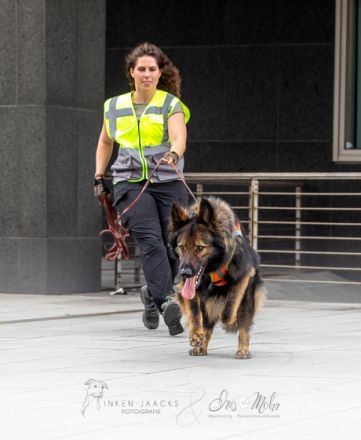 Trail & Shoot - Auf und ab im Treppenviertel Blankenese