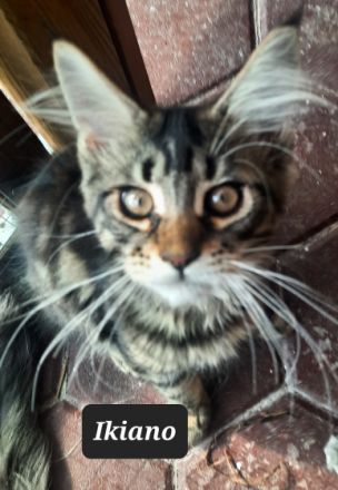 Hallo wir sind nun mittlerweile 15 Wochen alt und