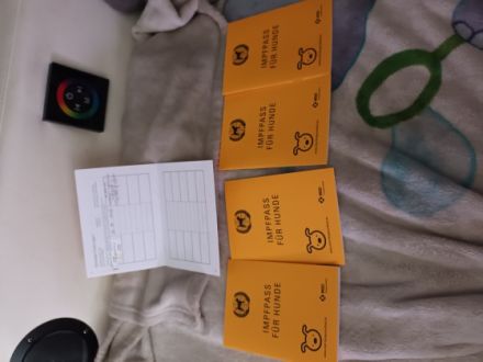 Meine Hündin hat am 27.06.2022 5 gesunde Welpen