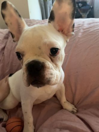 Es ist soweit.. wir haben uns lange davor gedrückt,