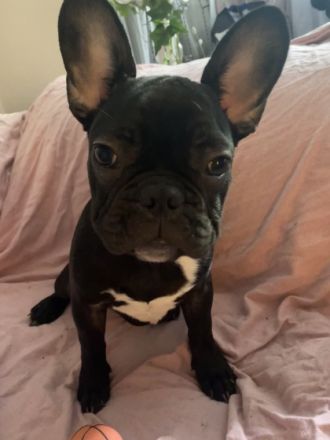 Es ist soweit.. wir haben uns lange davor gedrückt,