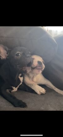 Es ist soweit.. wir haben uns lange davor gedrückt,