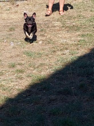 Dürfen wir vorstellen: das ist die hübsche Candy in der