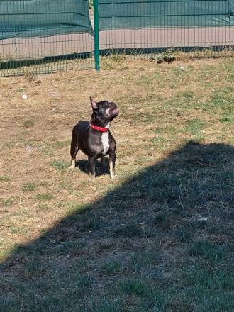 Dürfen wir vorstellen: das ist die hübsche Candy in der