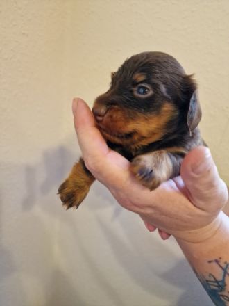 Udo, Hallo ihr Lieben. Ab Ende September habe ich eine