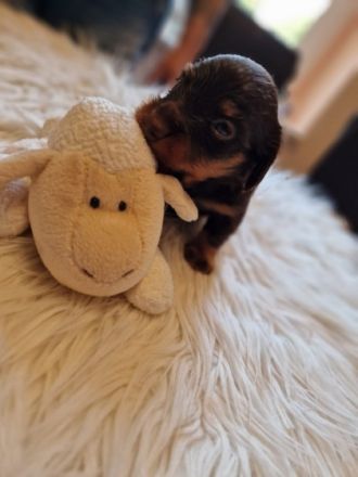 Udo, Hallo ihr Lieben. Ab Ende September habe ich eine