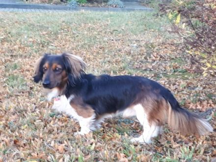 Udo, Hallo ihr Lieben. Ab Ende September habe ich eine