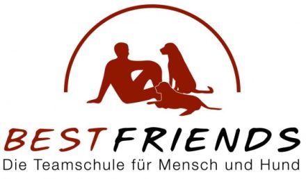 Hundetrainerausbildung