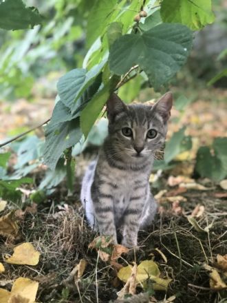 Wir sind auf der Suche nach einem neuen zu Hause für