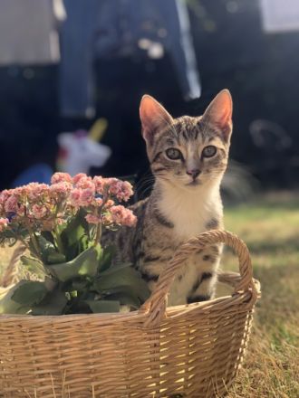 Wir sind auf der Suche nach einem neuen zu Hause für