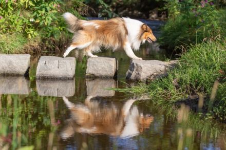 Fairytales Our Favorite "Baily"