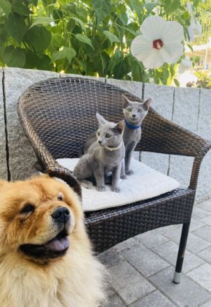 Unsere wunderschönen Geschwister Harry und Hugo sind im