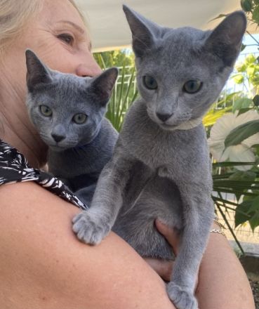 Unsere wunderschönen Geschwister Harry und Hugo sind im