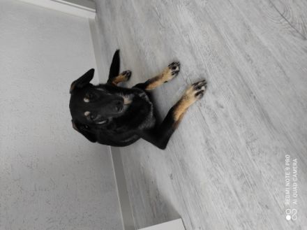 Zeus, Hallo, leider müssen wir aus familiären Gründen