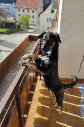 Zeus, Hallo, leider müssen wir aus familiären Gründen