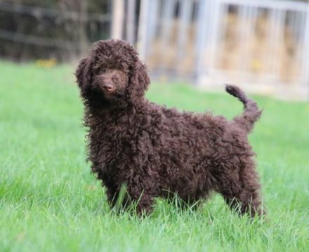 Ich bin Nelly und Emma und wurden am 03.07.2022 geboren