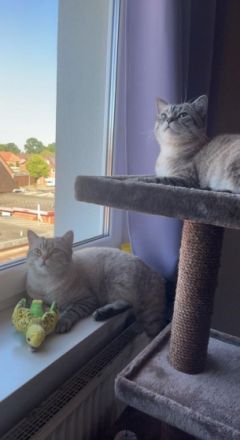 Hallo, wir müssen uns leider wegen Zeit mangeln von