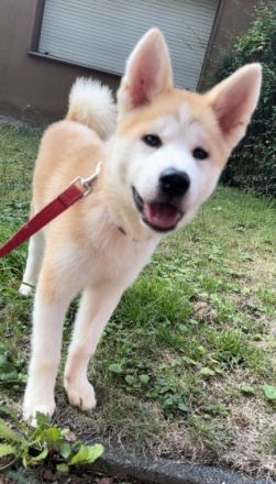 Balu (rot) und Hatchi (Türkis) sind am 29.4.22 zur Welt