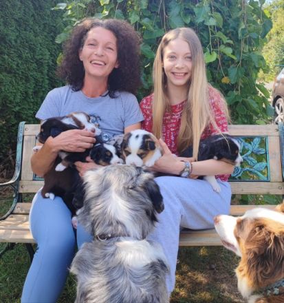 Wir sind eine kleine aber sehr feine Hobbyzucht, die