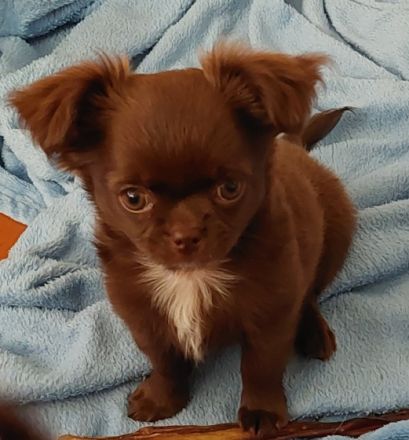 Hallo ihr lieben.Wir sind eine kleine, saubere, seriöse