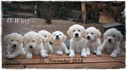 * Wurferwartung Ende September / Anfang Oktober 2022