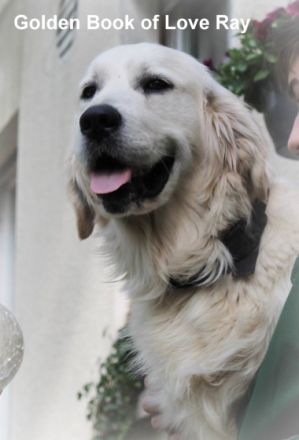 * Wurferwartung Ende September / Anfang Oktober 2022