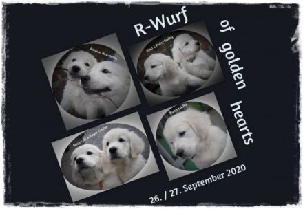 * Wurferwartung Ende September / Anfang Oktober 2022