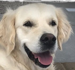 * Wurferwartung Ende September / Anfang Oktober 2022