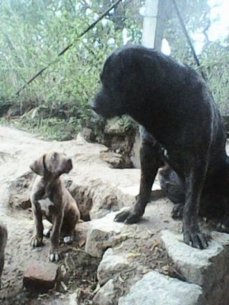 Die Welt wird immer schlimmer und die Hemmschwelle