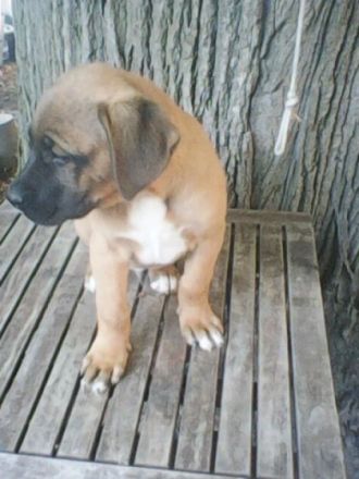 Die Welt wird immer schlimmer und die Hemmschwelle