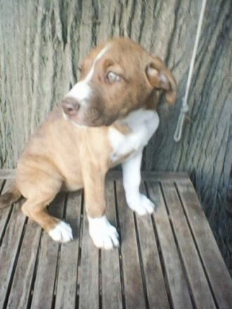 Die Welt wird immer schlimmer und die Hemmschwelle