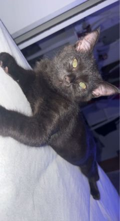 Hallo der kleine maus ist am 08.05.22 auf die welt