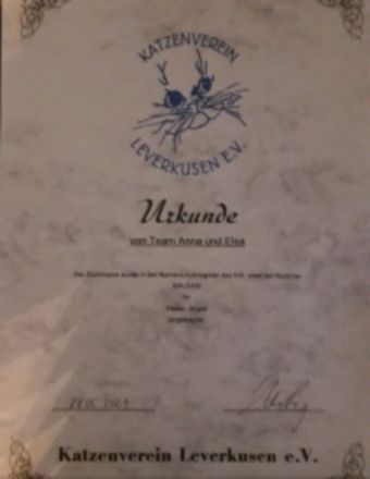 Hallo erst einmal , Ich freue mich das Sie sich für