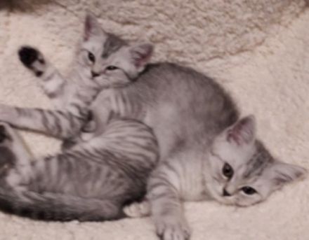 Hallo erst einmal , Ich freue mich das Sie sich für