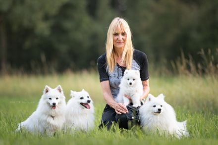 Kerngesunde, wesensfeste, reinrassige Welpen mit