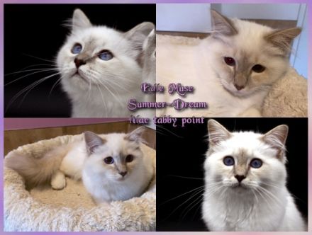 Sunny und Summer, Langjährige liebevolle HCM & PKD