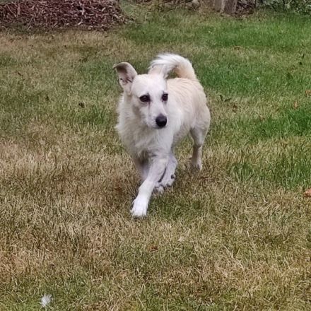 Lara wartet in 21769 Lamstedt Name Lara Geboren: 03.03