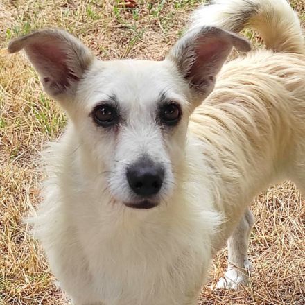 Lara wartet in 21769 Lamstedt Name Lara Geboren: 03.03