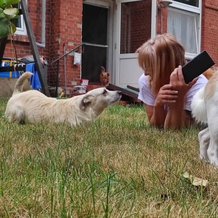 Lara wartet in 21769 Lamstedt Name Lara Geboren: 03.03