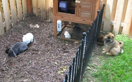 Die Kleinen wachsen bei uns im Haus und GarteDie