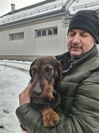 Saint Francis of Assisi