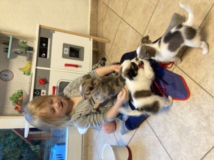 Am 22.07. sind bei uns vier wunderschöne, gesunde