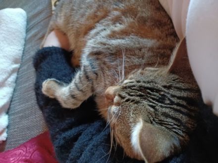 Hallo, mein Name ist Sammy. Ich bin am 12.08.2021