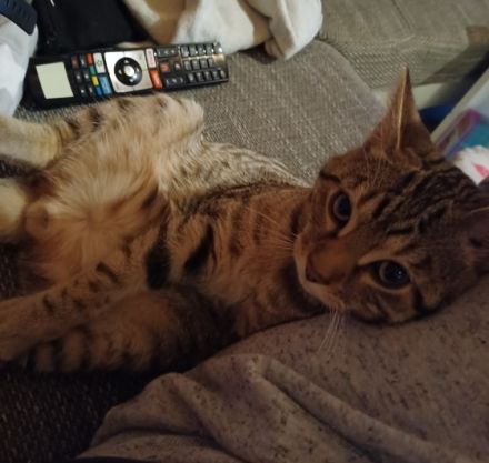 Hallo, mein Name ist Sammy. Ich bin am 12.08.2021