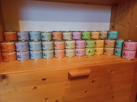 Hallo, mein Name ist Sammy. Ich bin am 12.08.2021