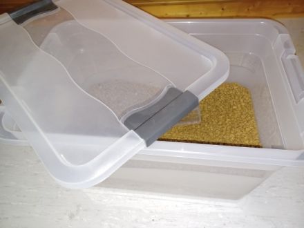 Hallo, mein Name ist Sammy. Ich bin am 12.08.2021