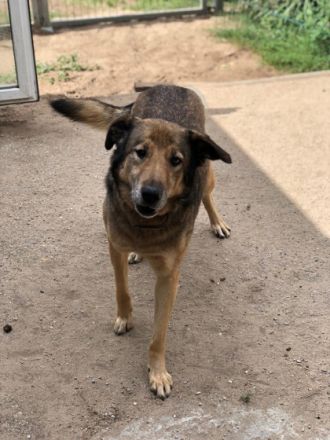 Vermittlungshilfe! Hallo ich bin Mimoza. Ich bin ein