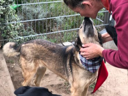 Vermittlungshilfe! Hallo ich bin Mimoza. Ich bin ein